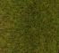 Faller Flocage prairie prenium